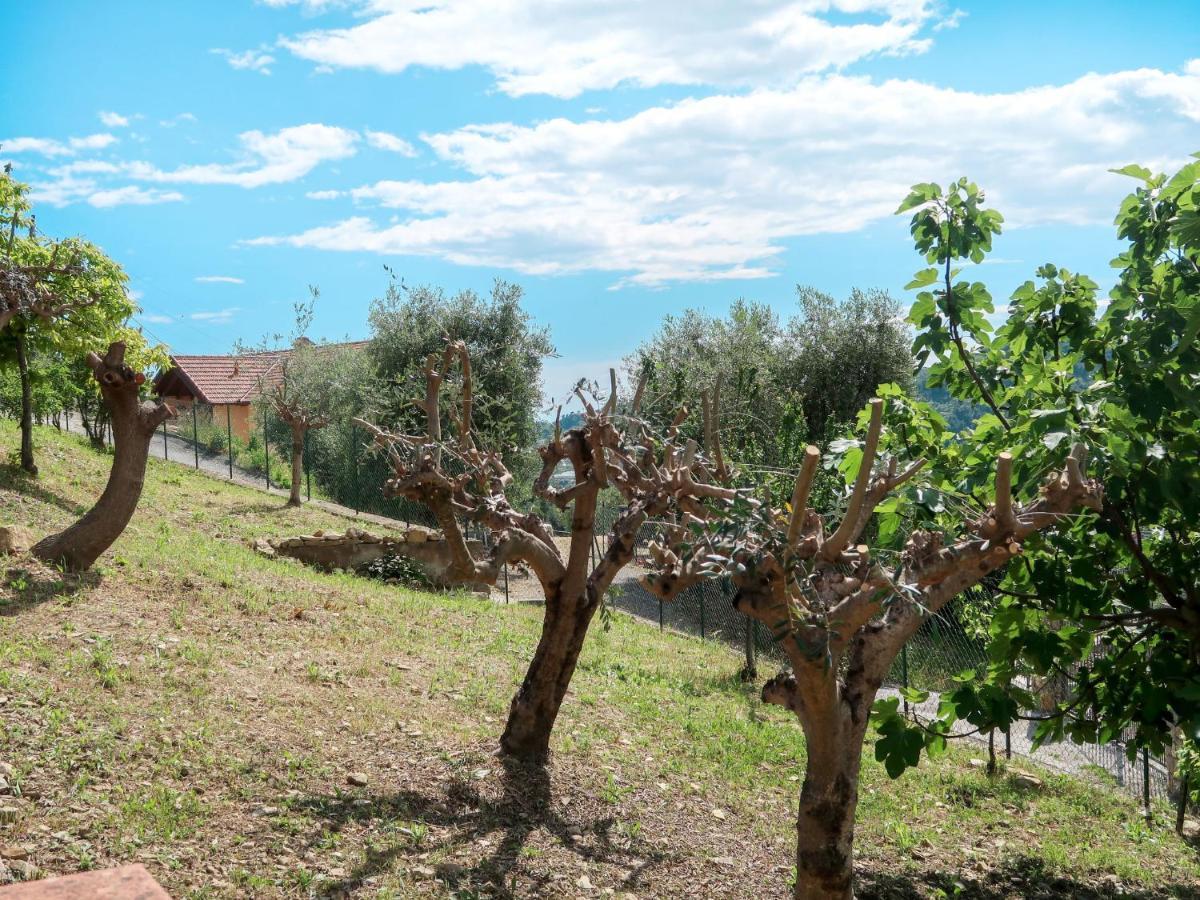 Holiday Home Ludovica By Interhome Soldano Buitenkant foto
